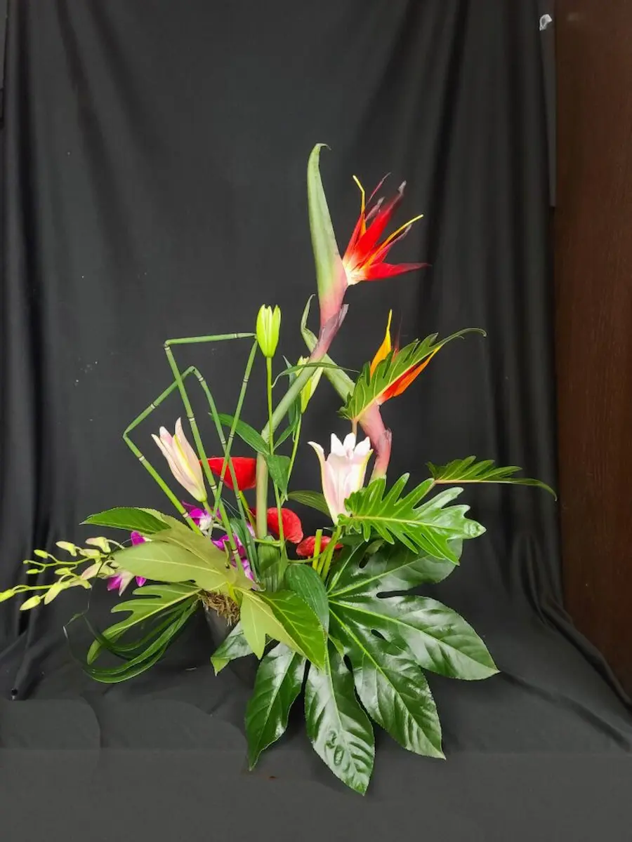 Colorful holiday wreath